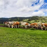 Farm Gradisnik Peaceful Countryside With Homemade Breakfast *