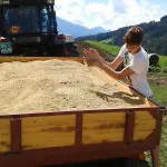 Farm Gradisnik Peaceful Countryside With Homemade Breakfast