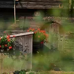 Farm Gradisnik Peaceful Countryside With Homemade Breakfast Prevalje
