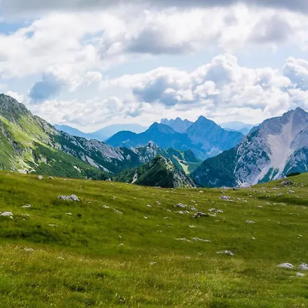 Organic Tourist Farm Gradisnik * Prevalje