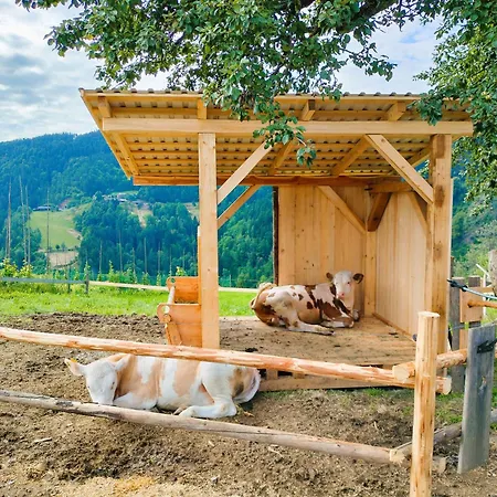 Organic Tourist Farm Gradisnik 팜스테이 *