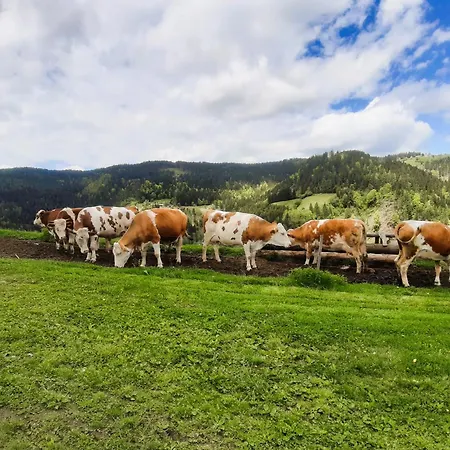 Organic Tourist Farm Gradisnik *
