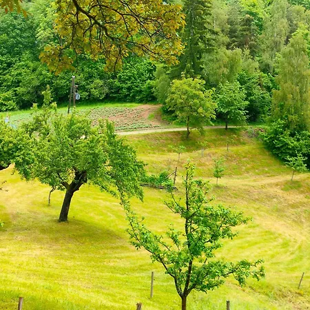 Organic Tourist Farm Gradisnik *