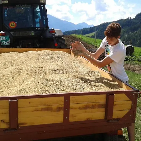 Organic Tourist Farm Gradisnik