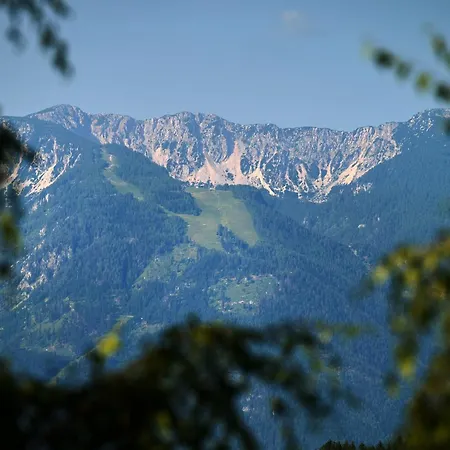 팜스테이 Organic Tourist Farm Gradisnik *