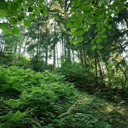 Organic Tourist Farm Gradisnik مزرعة للإقامة Prevalje