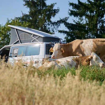 Farm stay Organic Tourist Farm Gradisnik Prevalje