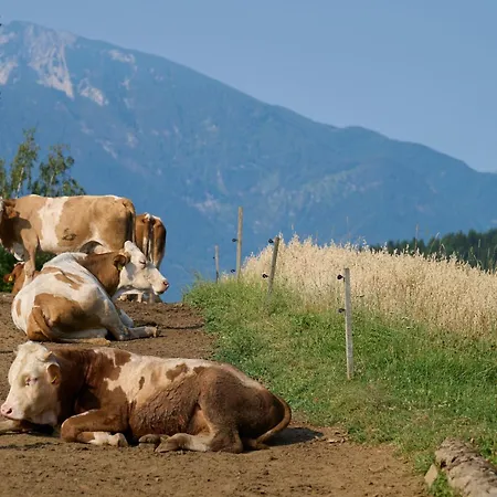 Organic Tourist Farm Gradisnik Prevalje