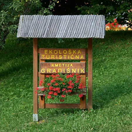 Farm stay Organic Tourist Farm Gradisnik