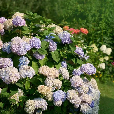 Peaceful Countryside Apartments Gradišnik Complete Silence Smještaj na farmi Prevalje