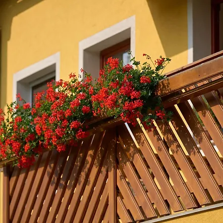 Smještaj na farmi Peaceful Countryside Apartments Gradišnik Complete Silence