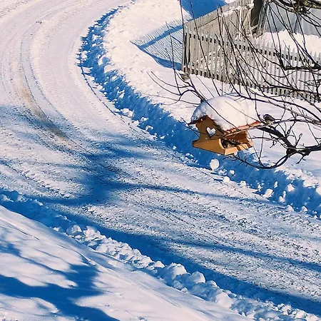 Peaceful Countryside Apartments Gradišnik Complete Silence