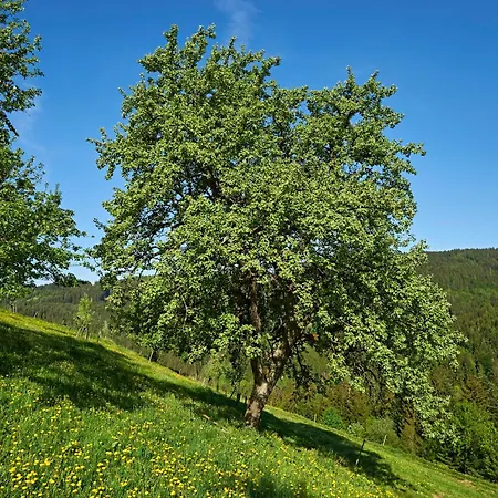 Farm Gradisnik Peaceful Countryside With Homemade Breakfast *