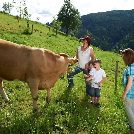 Farm Gradisnik Peaceful Countryside With Homemade Breakfast Κατάλυμα σε φάρμα