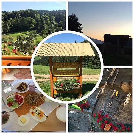 Farm stay Organic Tourist Farm Gradisnik *
