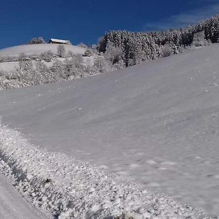 Peaceful Countryside Apartments Gradišnik Complete Silence Smještaj na farmi Prevalje