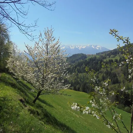 Organic Tourist Farm Gradisnik