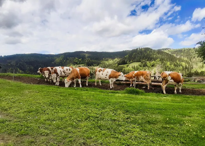 Farm Gradisnik Peaceful Countryside With Homemade Breakfast *