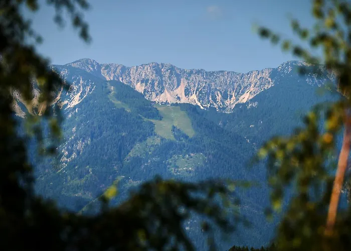 Bivanje na kmetiji Farm Gradisnik Peaceful Countryside With Homemade Breakfast *
