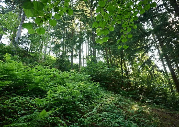 Farm Gradisnik Peaceful Countryside With Homemade Breakfast Bivanje na kmetiji Prevalje