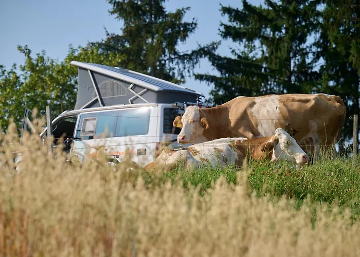 Bivanje na kmetiji Farm Gradisnik Peaceful Countryside With Homemade Breakfast Prevalje