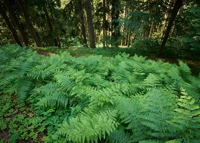 Farm Gradisnik Peaceful Countryside With Homemade Breakfast *