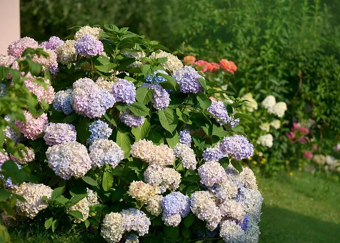 Farm Gradisnik Peaceful Countryside With Homemade Breakfast Bivanje na kmetiji Prevalje