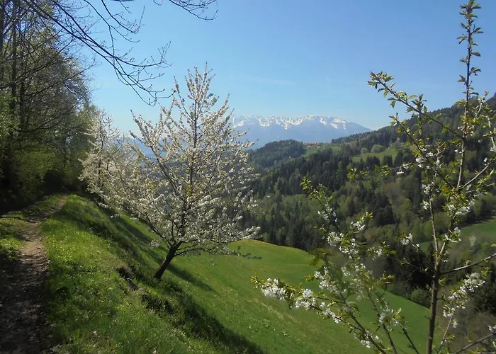 Farm Gradisnik Peaceful Countryside With Homemade Breakfast